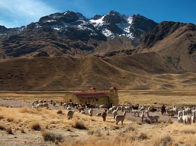 Pérou - Col de la Raya
