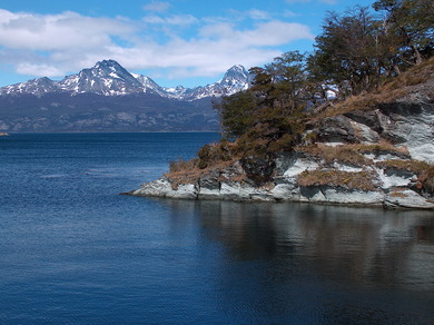 argentine