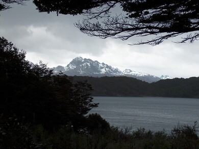 argentine