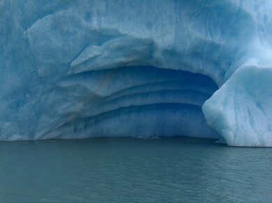 argentine