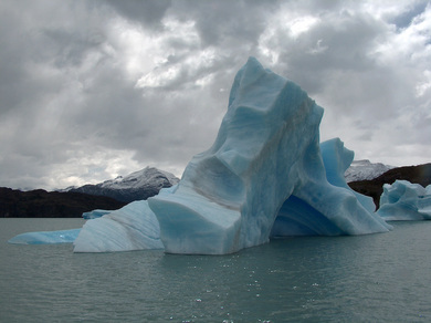 argentine