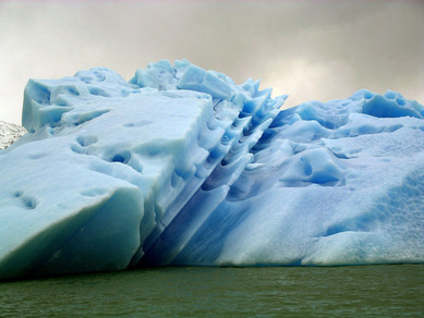 argentine