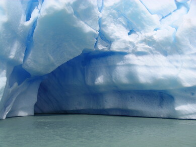argentine