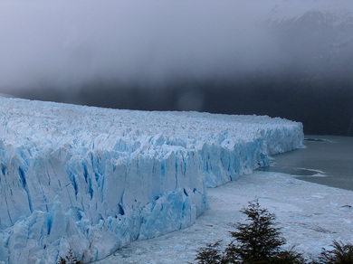 argentine