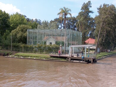 argentine