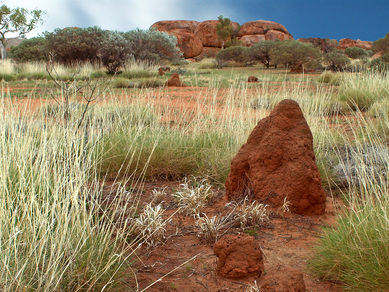 Australie