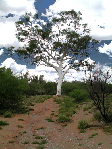 Australie