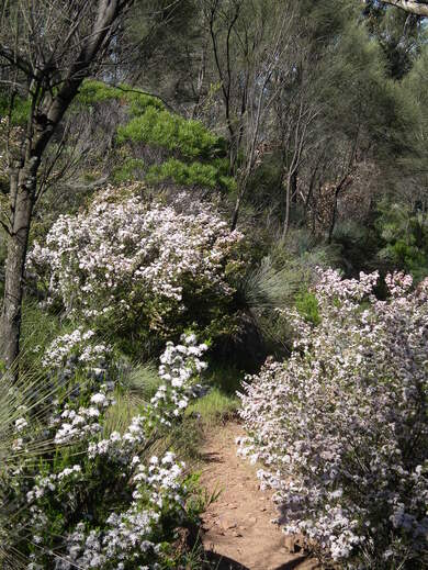 Australie