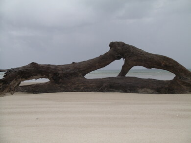 Australie