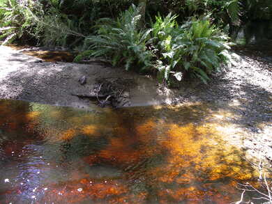 Australie