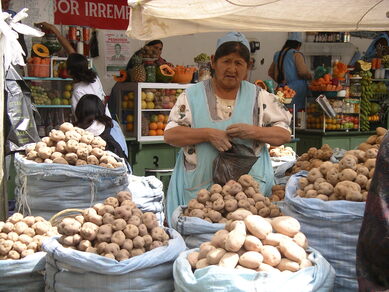 Bolivie