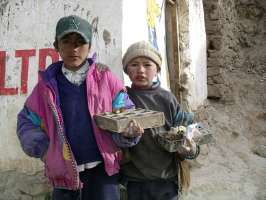 Bolivie