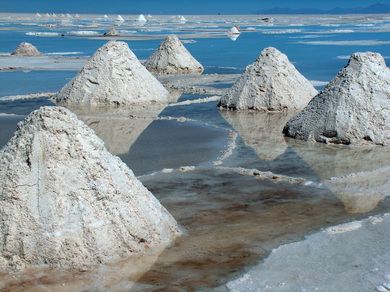 bolivieh