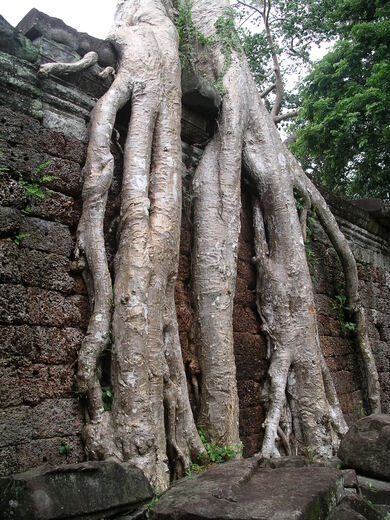 cambodge