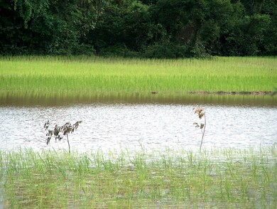 cambodge