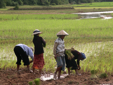 cambodge