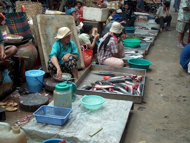 cambodge