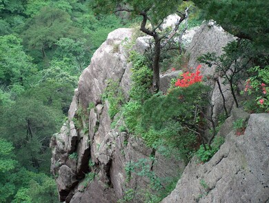 chine