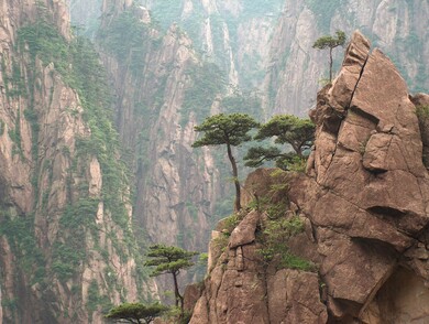 chine