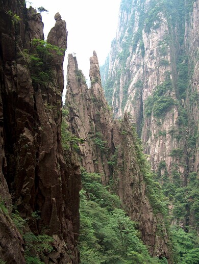 chine