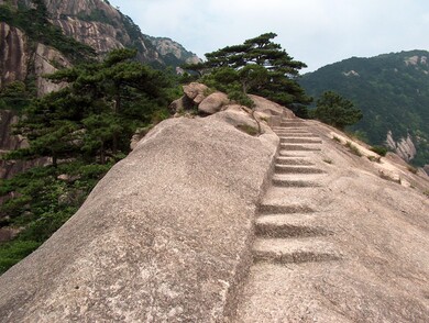 chine