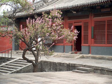 Chine