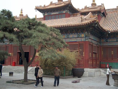 Chine
