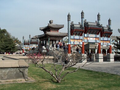 chine