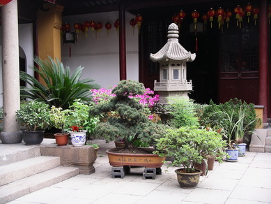 chine