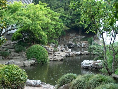 chine
