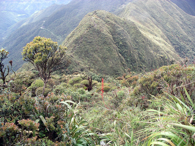 equateur