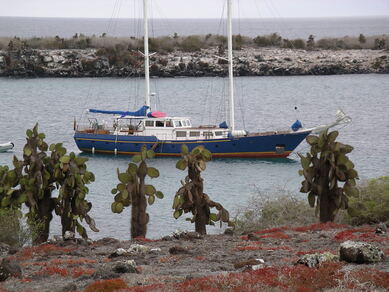 galapagos