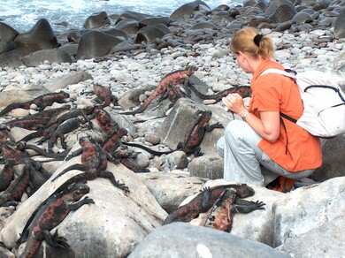 galapagos