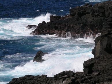 galapagos