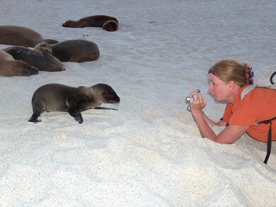 galapagos