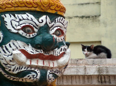 Laos - Vientiane - Même pas peur !