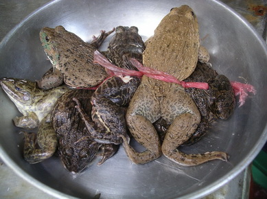 Viet-Nam - Marché de Hanoï