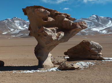 Bolivie - Sud Lipez - Arbres de pierre