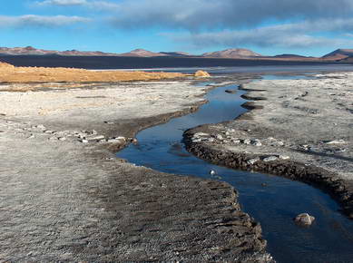 Bolivie - Sud Lipez - Laguna Colorada
