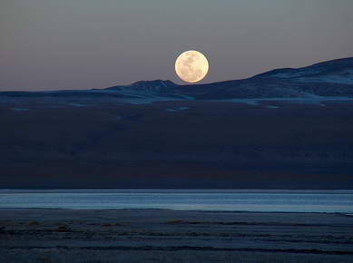 Bolivie - Sud Lipez - Laguna Colorada