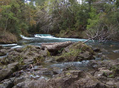 Chili - Pucon - Ojos de Carbuga