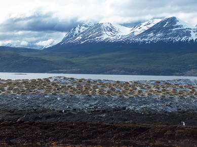 Argentine - Ushuaïa - Canal de Beagle