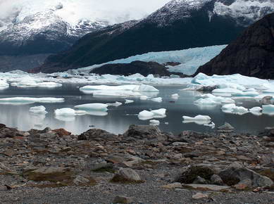 Argentine - Calafate - Parc des glaciers