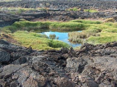 Equateur - Galapagos
