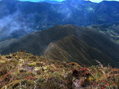 Equateur - Parc de Podocarpus