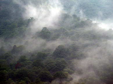 Chine - Huang Shan