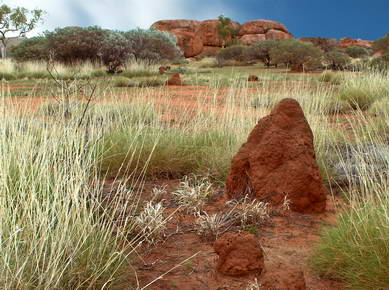 Australie - Devil Marble