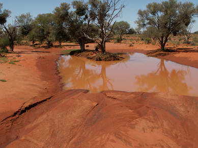 Australie - Sur la Stuart Highway