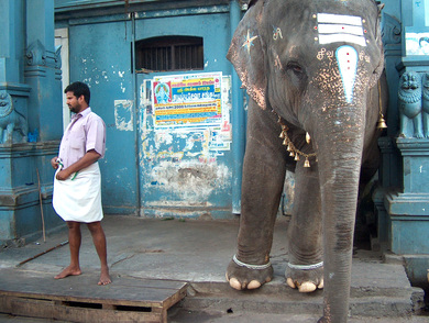 inde
