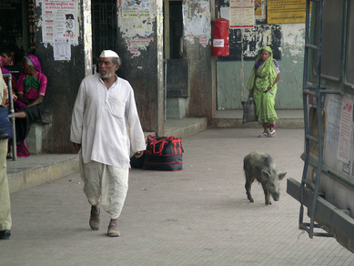 inde